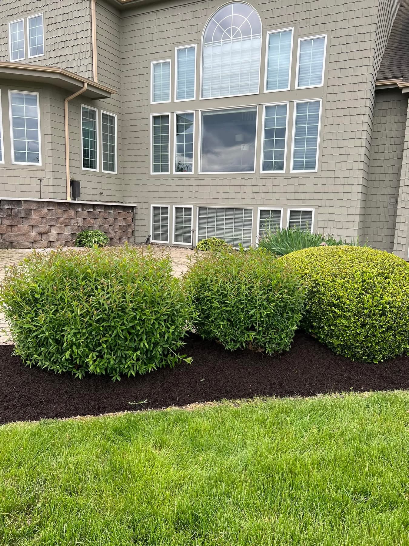 Rounded shrubs in a freshly mulched bed in front of a large home