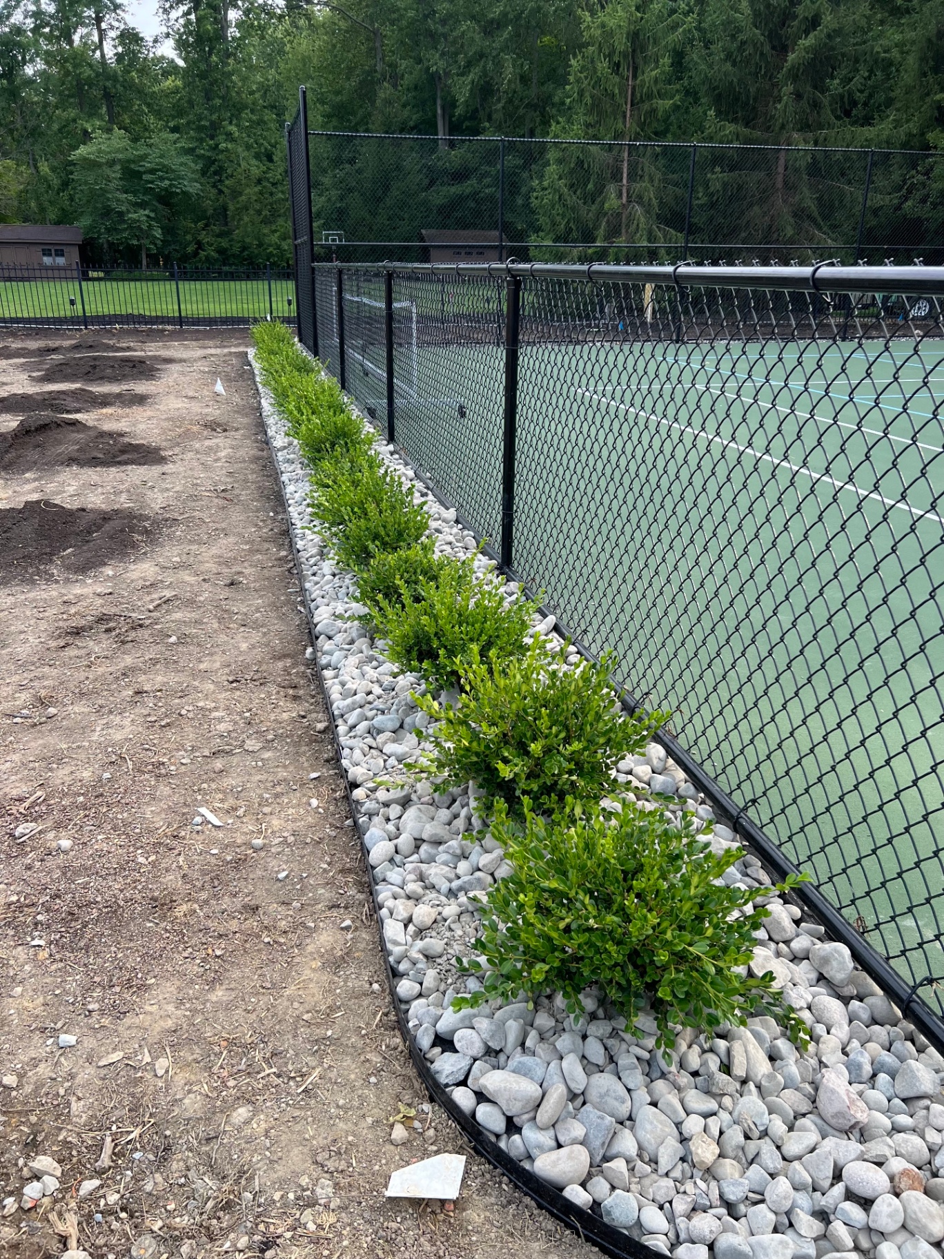 Row of boxwoods in white river rock along a tennis court fence